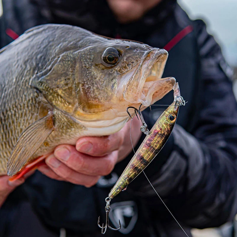 Salmo Rattlin Sting Suspending 9cm